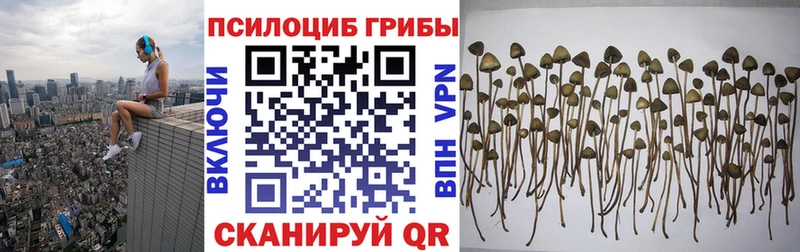 Галлюциногенные грибы прущие грибы  мориарти телеграм  Усолье-Сибирское  наркотики 